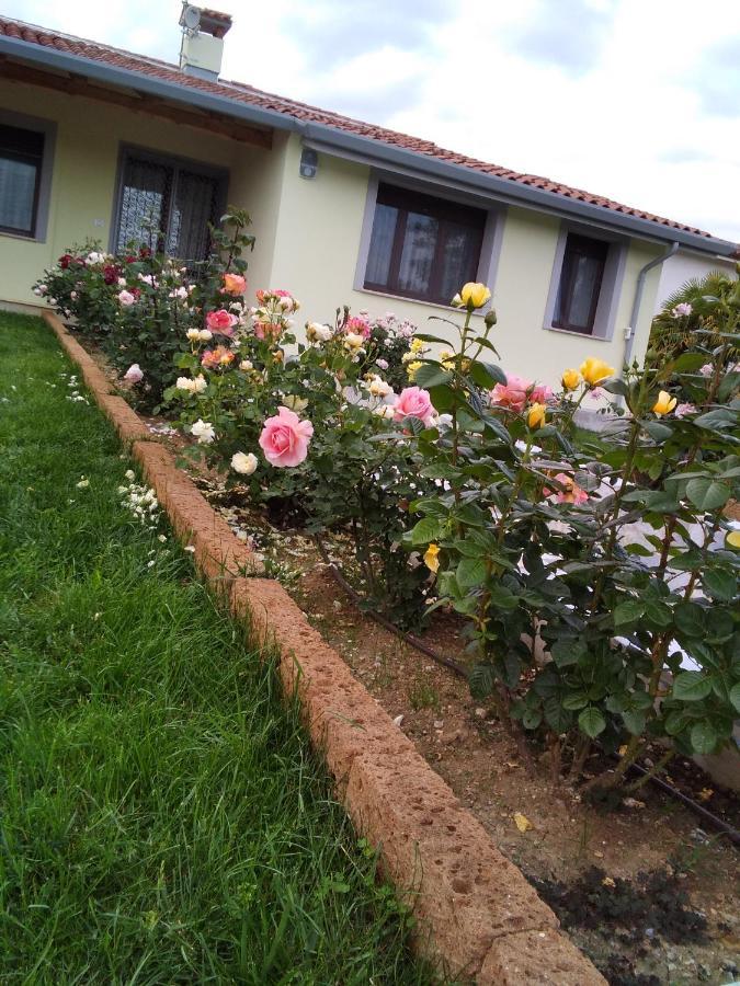 B&B Fili D'Erba Farra d'lsonzo Kültér fotó
